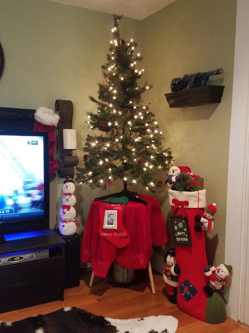 NWR: Finally finished decorating our first Christmas tree!!