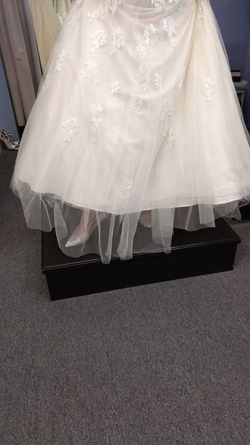 Quick veil poll....