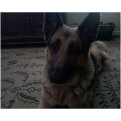 NWR: What kind of dog do you have?