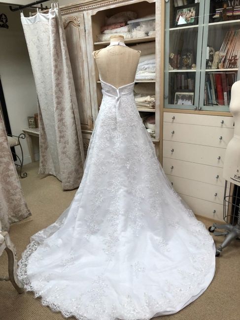 Wedding Dress Shopping Question... - 2