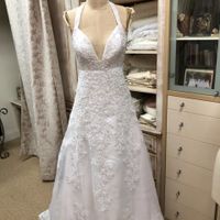 Wedding Dress Shopping Question... - 1