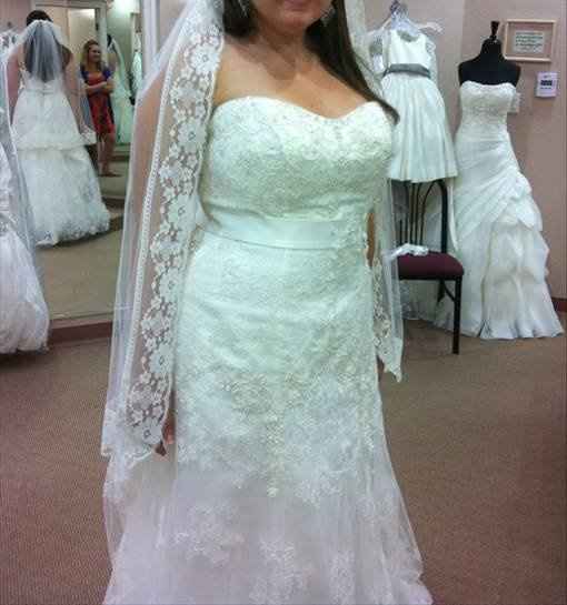 Does this veil go with this dress?