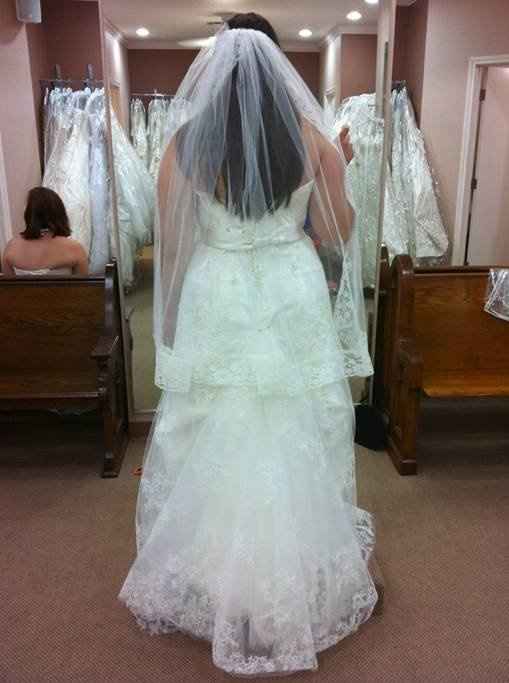 Does this veil go with this dress?