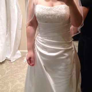 officially starting to question my dress..opinions please! (pics)