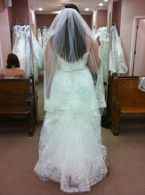 Does this veil go with this dress?