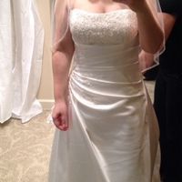 officially starting to question my dress..opinions please! (pics)