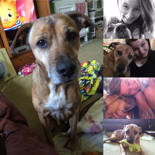 NWR-We just lost our family pet after 13 years.
