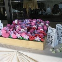 12 Days married and finally ready to tell the tale!