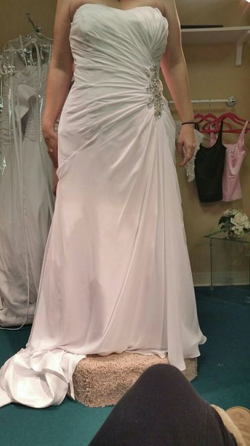 Dress help ....picture heavy