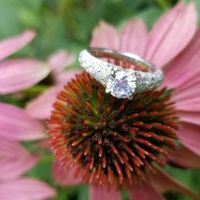 Brides of 2022! Show us your ring! - 1