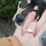 Future Mrs. N