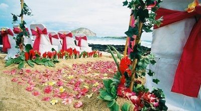 Everyone thinks I'm crazy for having a red and white beach wedding
