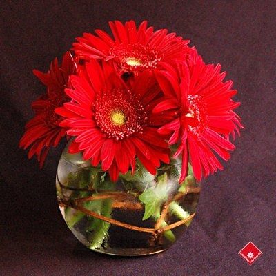 *PIC* Centerpiece mock-up-I need your HONEST opinion :)