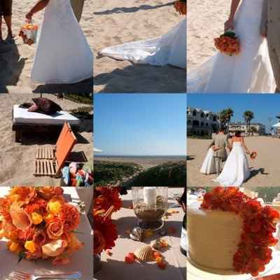 Needing Serious Help