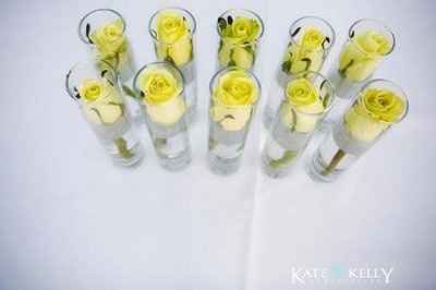 I need opinions...and maybe some suggestions..