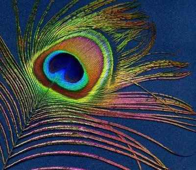 So obsessed with this