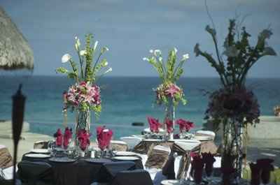 Chocolate brown linens