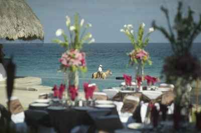 yeah I love my professional wedding photos!   (pic heavy)