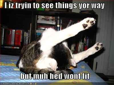 Immature Forums Make Me Want To Bite Someone In The Face. *updated*