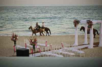 ALUMNI Brides of Wedding Wire....