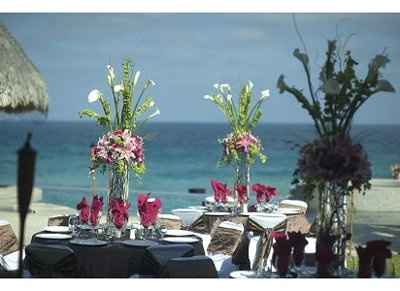 What will my guest expect.