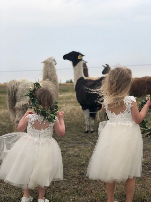 Flower Girl Dresses
