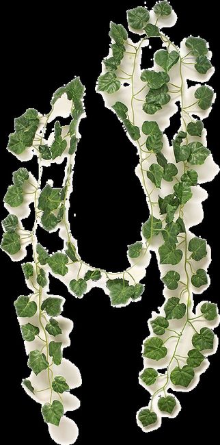 faux ivy