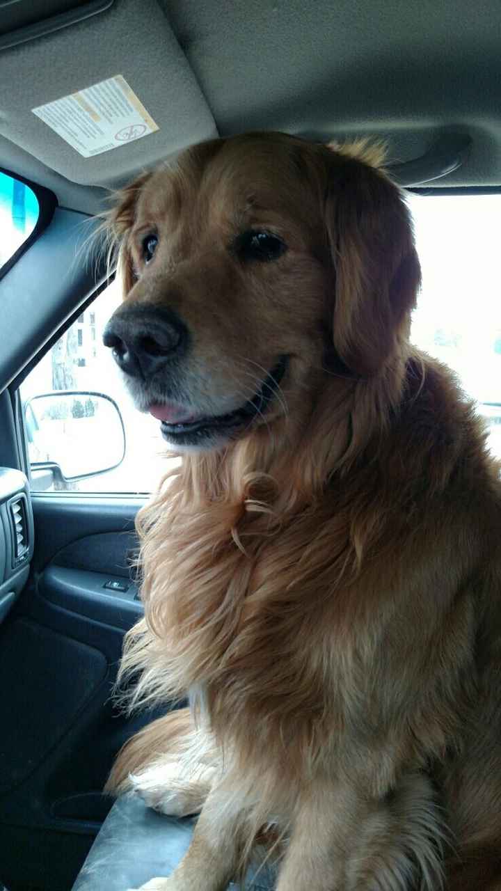 NWR - missing fur baby update from CF