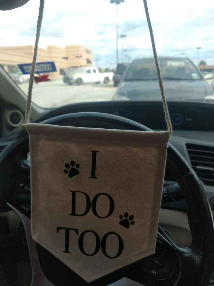 Animal in the wedding - 1