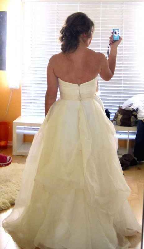 Bustling Organza??