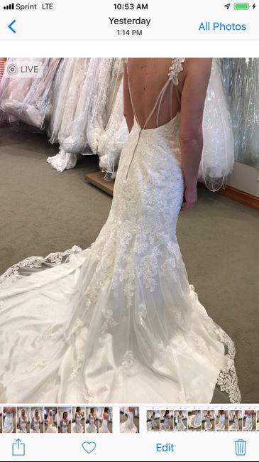 Dress shopping - 4
