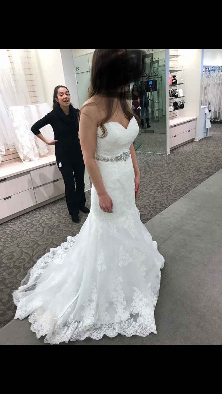 Did i pick the wrong dress - 1