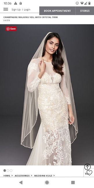 Length of Veil 4