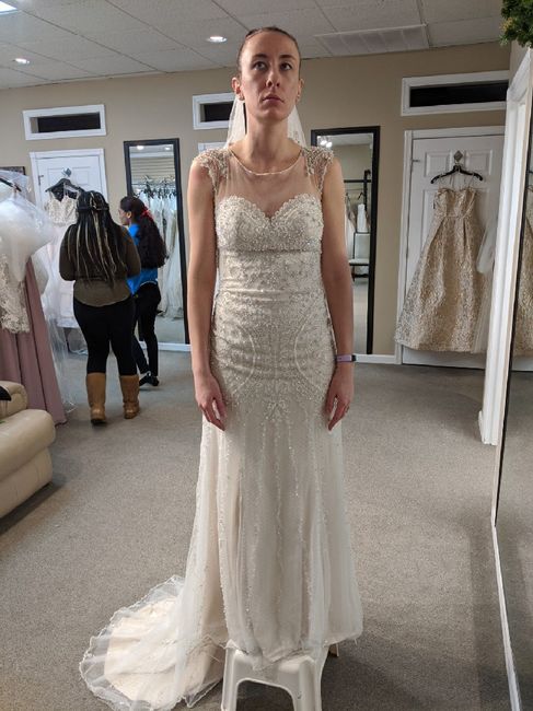 Dress help! 3