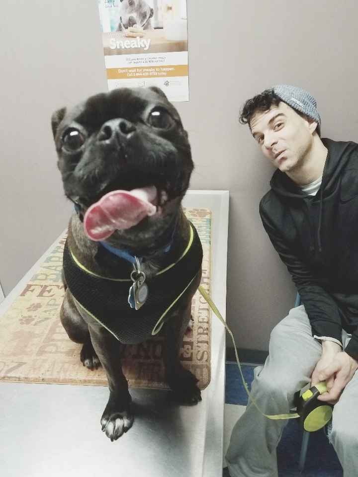 Show me your fiance and pet - 1