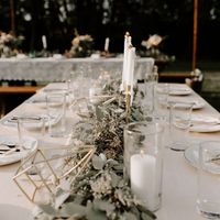 What colors did you choose for your wedding? - 2