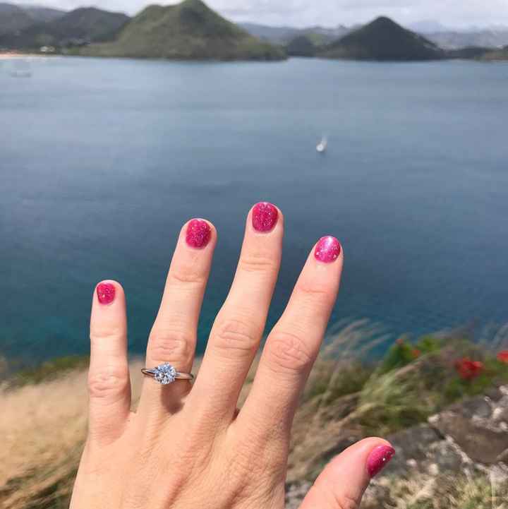 Help picking engagement ring brand!!