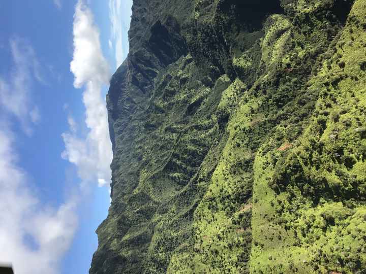 Can't believe I won! Kauai honeymoon! tips needed!