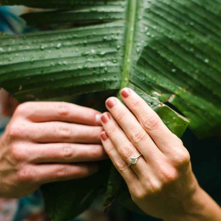  Solitaire ring - what kind of band - 1