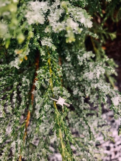 Brides of 2020!  Show us your ring! 4