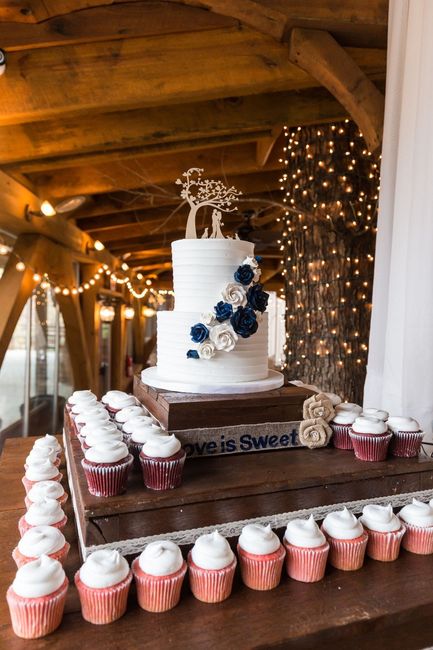 Cake and Cupcakes