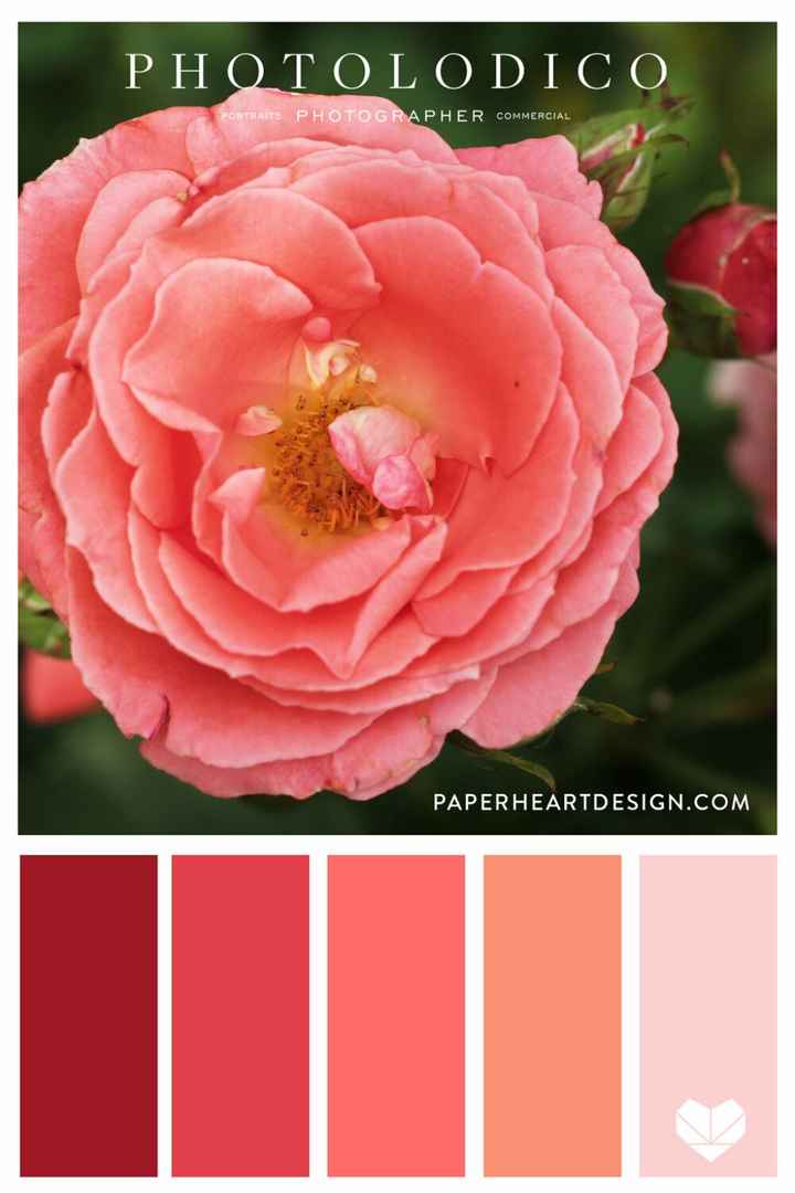 What's everyone's wedding colors? - 1