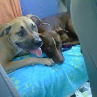 *NWR* Show me your pets/animals! *PICS*