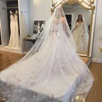 Wedding Dress Surprises??? - 1