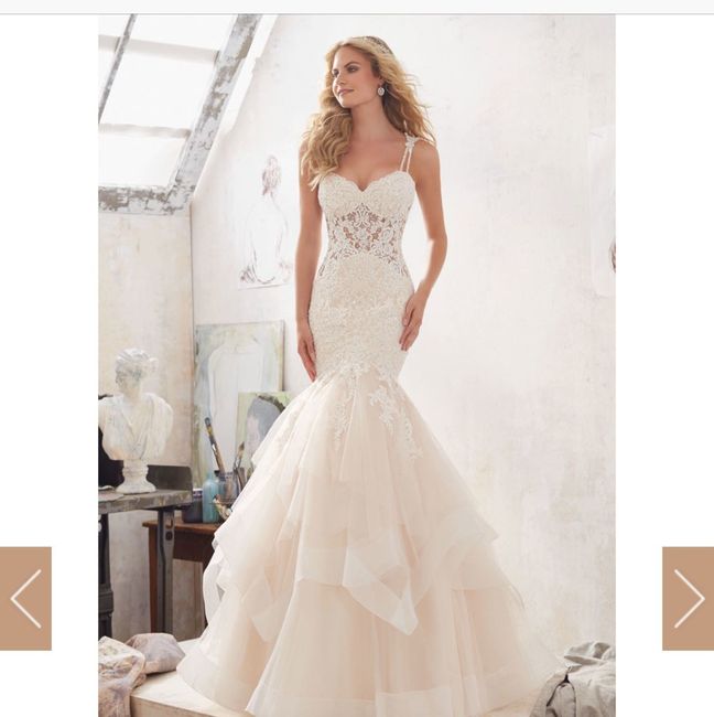 Dress veil