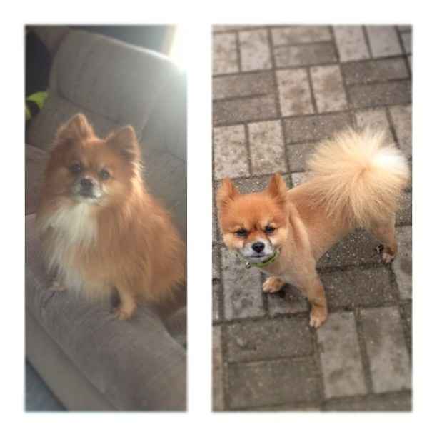 NWR: Fur Baby! :)
