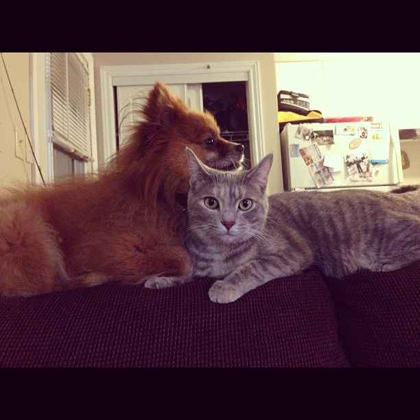 NWR: Fur Baby! :)