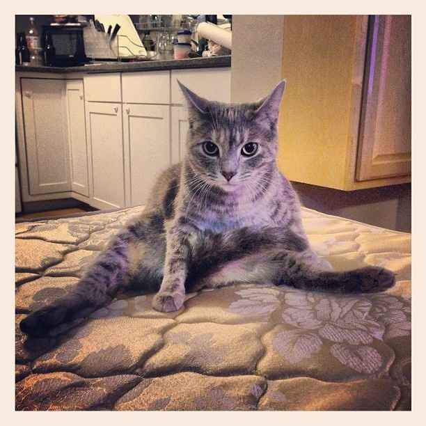 NWR: Fur Baby! :)