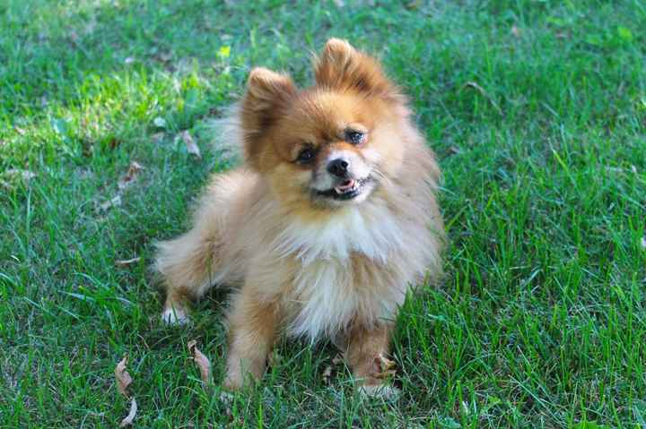 NWR: Fur Baby! :)