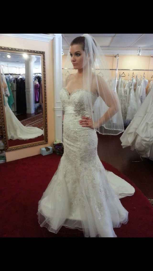 Wedding Dress Opinions? (Pics)